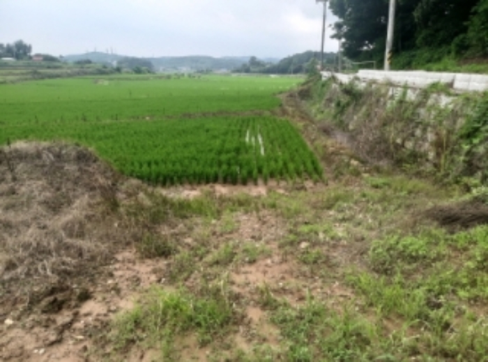 충청남도 당진시 송악읍 석포리 110 전 경매 사진 22