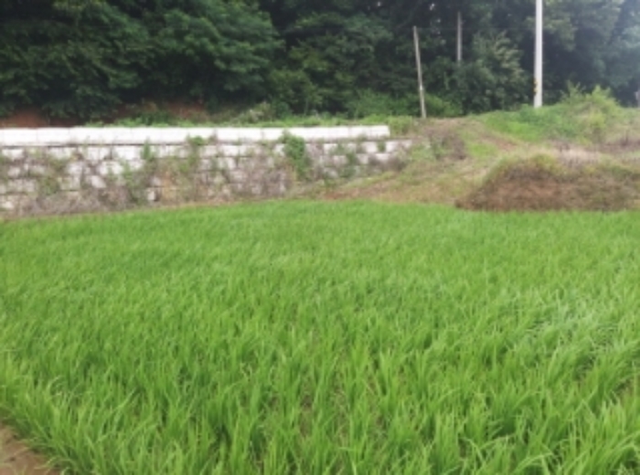 충청남도 당진시 송악읍 석포리 110 전 경매 사진 25