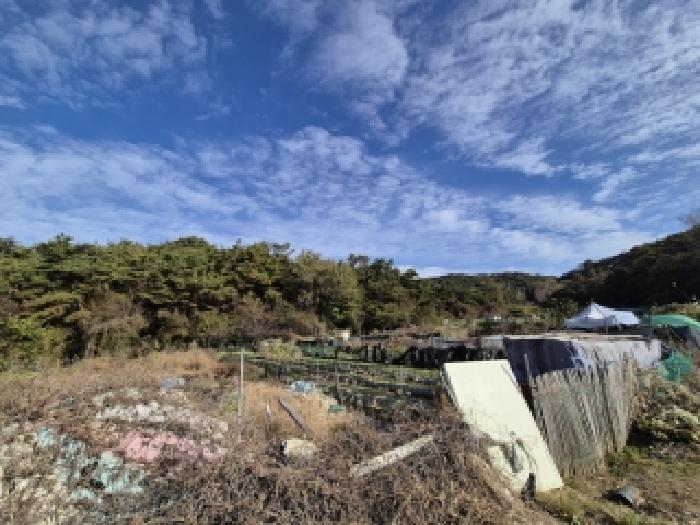 광주광역시 북구 일곡동 10 답 경매 사진 16