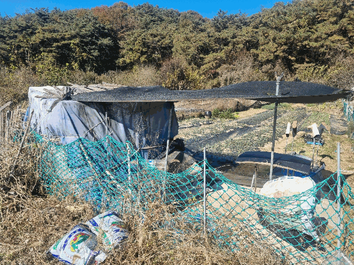 광주광역시 북구 일곡동 10 답 경매 사진 25