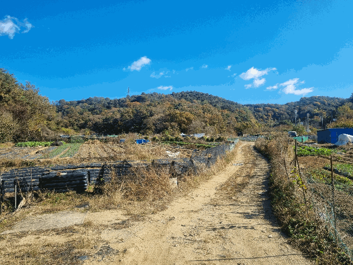 광주광역시 북구 일곡동 10 답 경매 사진 18