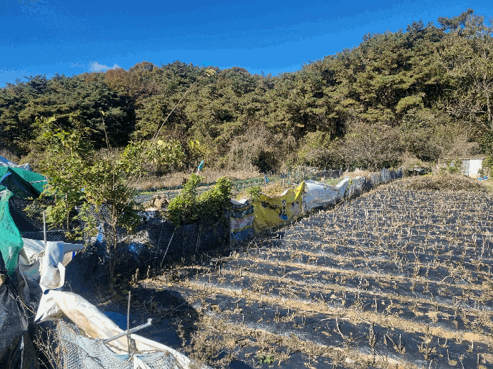 광주광역시 북구 일곡동 10 답 경매 사진 20
