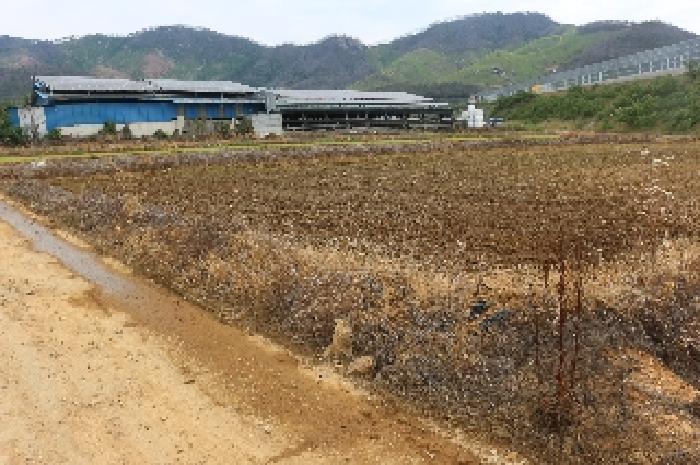 경상남도 밀양시 부북면 용지리 315-5 답 경매 사진 21