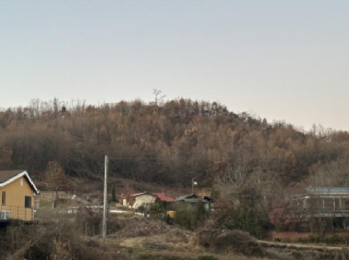 충청북도 괴산군 감물면 오성리 산35-8 임야 경매 사진 11
