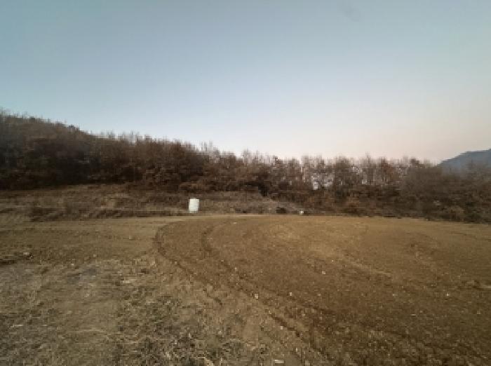 충청북도 괴산군 감물면 오성리 산35-8 임야 경매 사진 12
