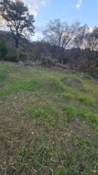 경상남도 양산시 평산동 955 외 4필지 답 경매 사진 4