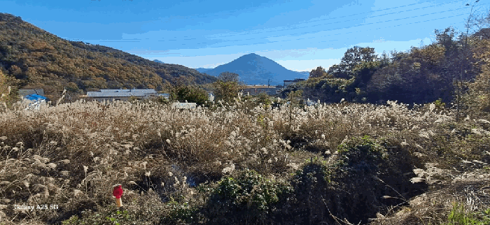 경상남도 양산시 평산동 955 외 4필지 답 경매 사진 9