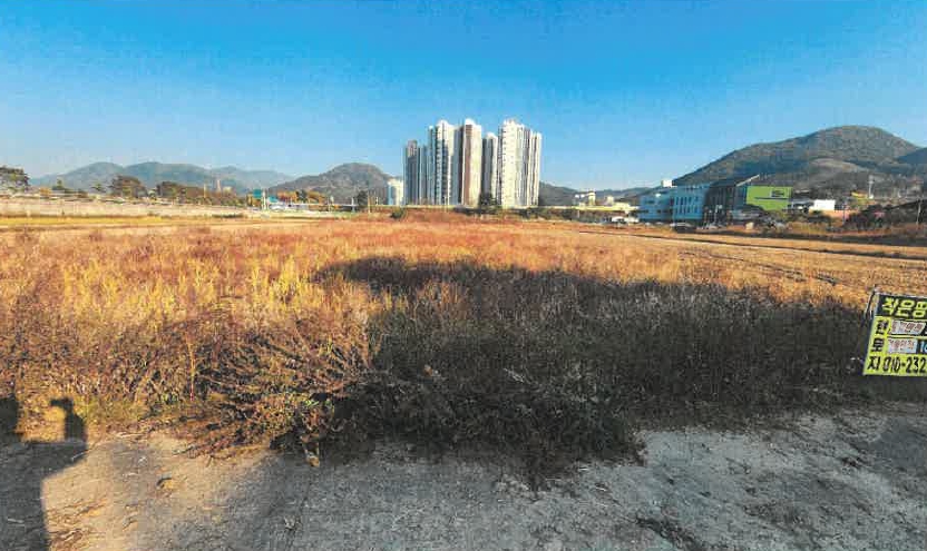 전라남도 장성군 장성읍 영천리 1484-4 답 경매 사진 15