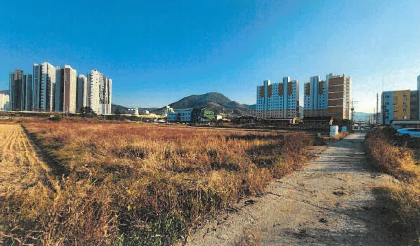 전라남도 장성군 장성읍 영천리 1484-4 답 경매 사진 16