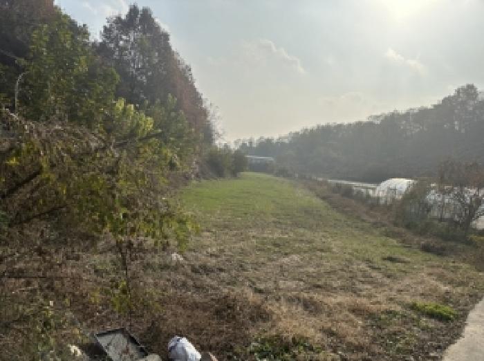 충청북도 청주시 청원구 내수읍 은곡리 230-26 외 4필지 동물및식물관련시설 경매 사진 15