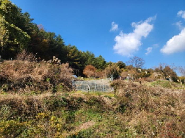 전라남도 광양시 옥룡면 추산리 446 전 경매 사진 18