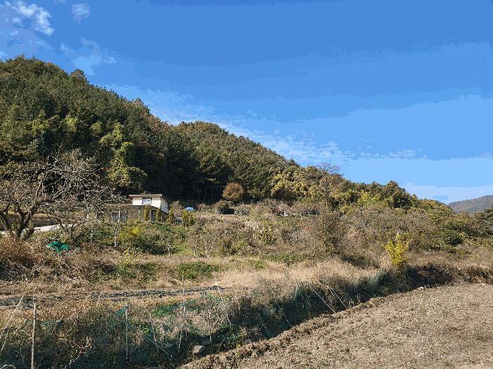 전라남도 광양시 옥룡면 추산리 446 전 경매 사진 21