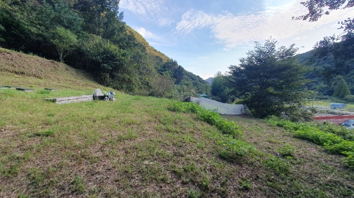 경상남도 창원시 마산합포구 진전면 고사리 164 전 경매 사진 5