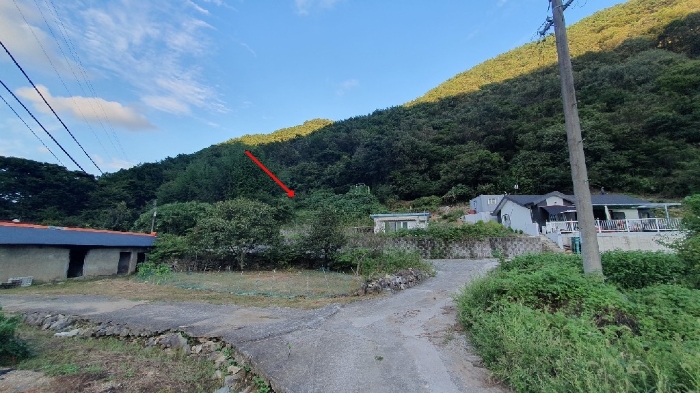 경상남도 창원시 마산합포구 진전면 고사리 164 전 경매 사진 10