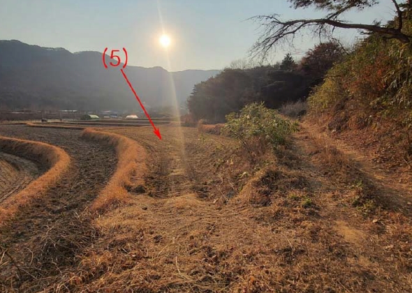 울산광역시 울주군 상북면 거리 802 답 경매 사진 6