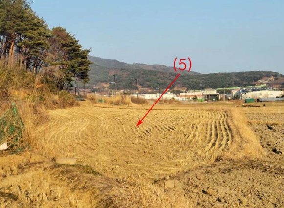 울산광역시 울주군 상북면 거리 802 답 경매 사진 7