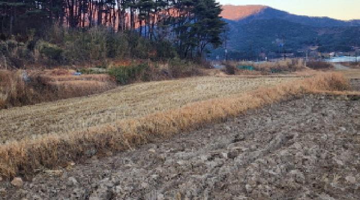 울산광역시 울주군 상북면 거리 802 답 경매 사진 8