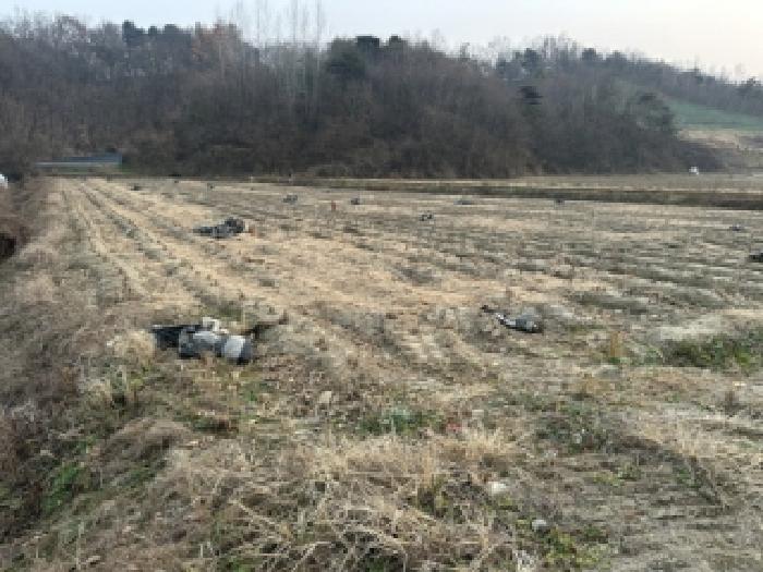 충청북도 괴산군 불정면 신흥리 14 전 경매 사진 10