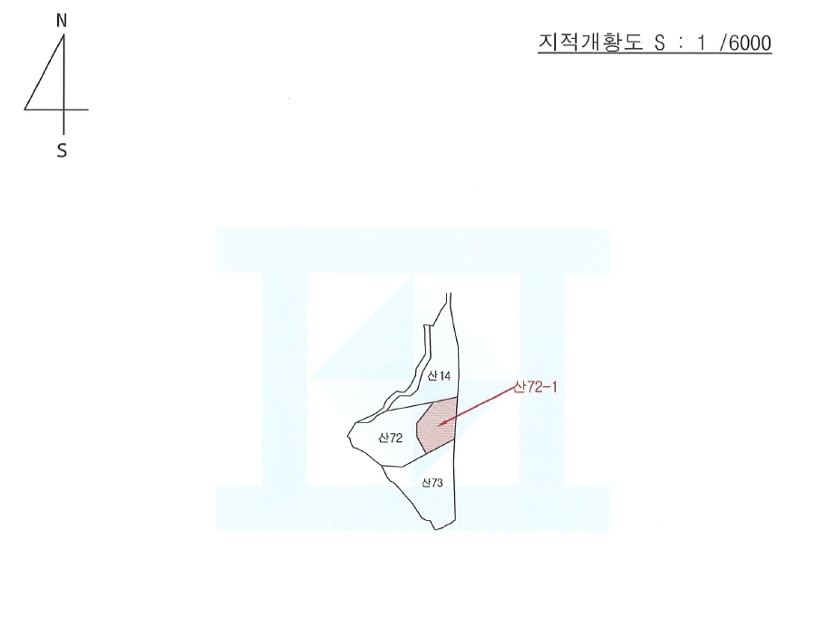 경상북도 성주군 월항면 지방리 산72-1 임야 경매 사진 10