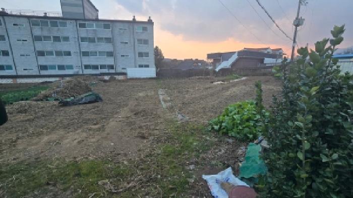 울산광역시 울주군 삼남읍 상천리 163 임야 경매 사진 1