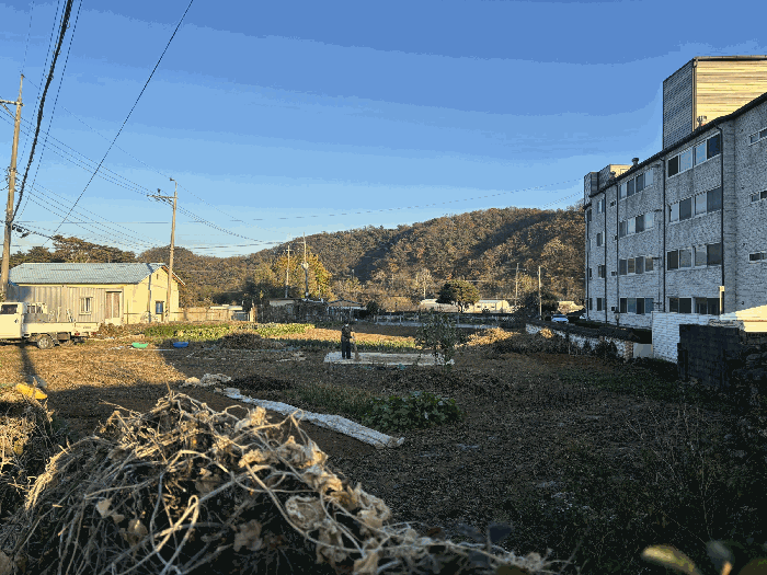 울산광역시 울주군 삼남읍 상천리 163 임야 경매 사진 2