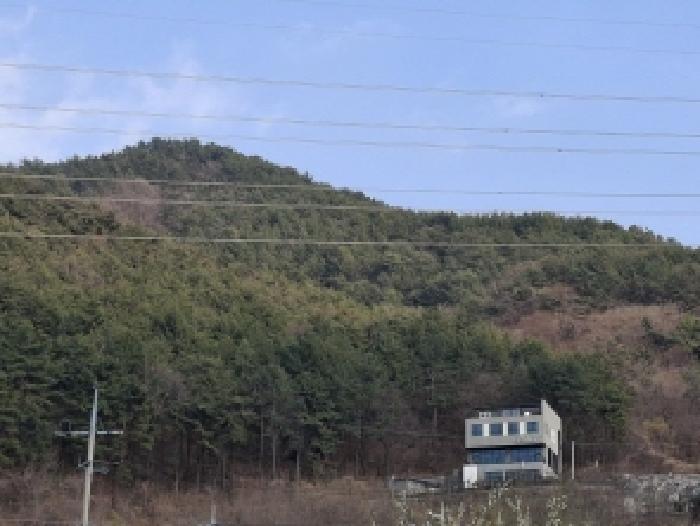 경상남도 사천시 백천동 산69 임야 경매 사진 18