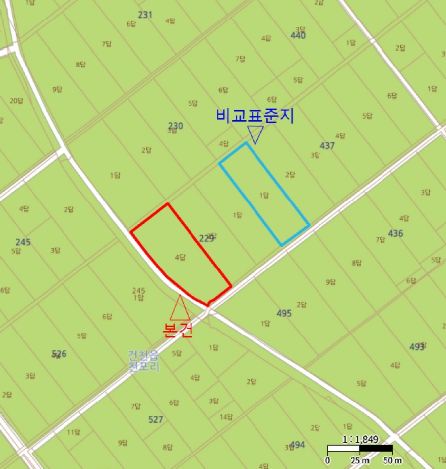 경상북도 경주시 건천읍 천포리 229-4 답 경매 사진 11