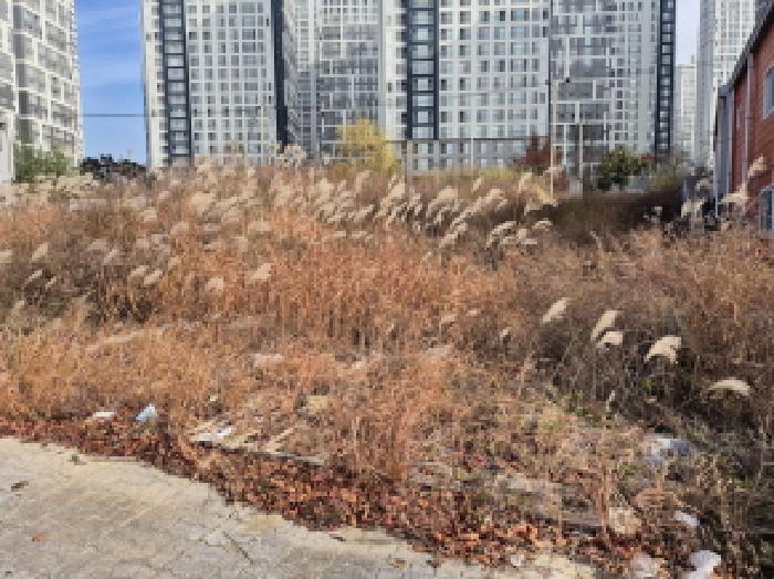울산광역시 북구 매곡동 899-3 대지 경매 사진 11