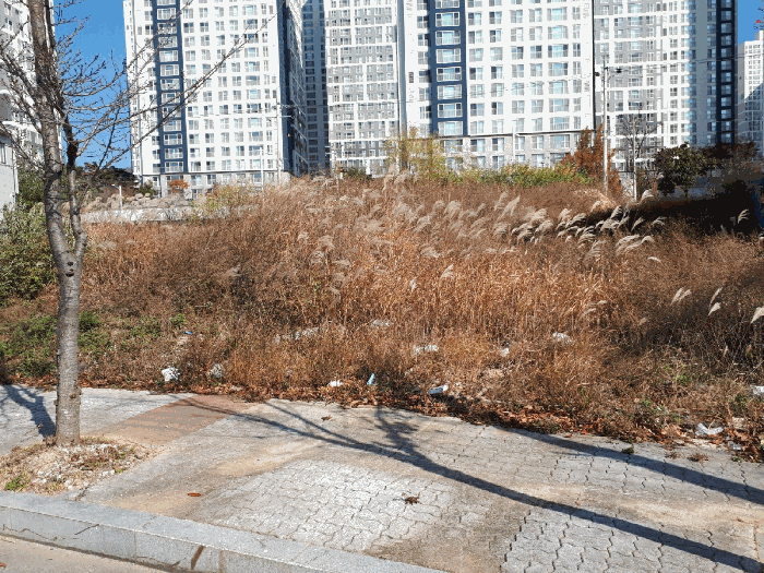 울산광역시 북구 매곡동 899-3 대지 경매 사진 14