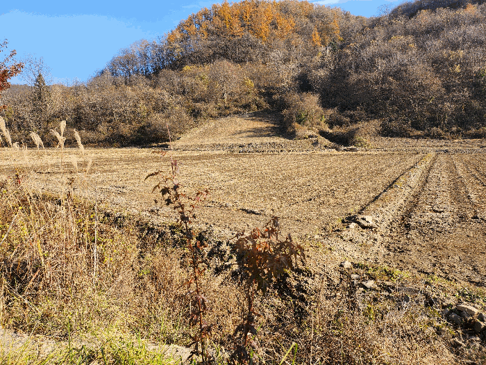 전북특별자치도 임실군 신덕면 오궁리 894-4 답 경매 사진 12