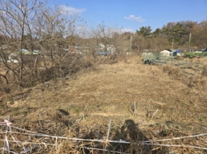 충청북도 청주시 흥덕구 강내면 월탄리 100-2 외 5필지 단독주택 경매 사진 2