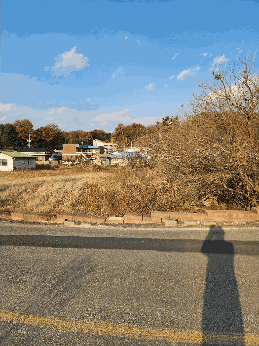 충청북도 청주시 흥덕구 강내면 월탄리 100-2 외 5필지 단독주택 경매 사진 16