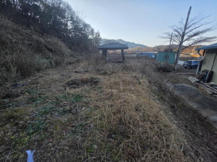 충청북도 제천시 송학면 포전리 311 외 1필지 전 경매 사진 2