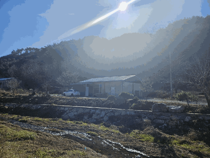 충청북도 제천시 송학면 포전리 311 외 1필지 전 경매 사진 4