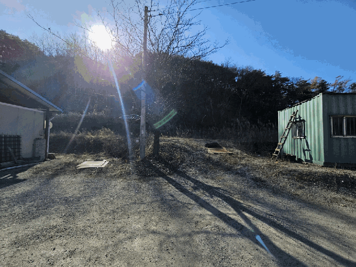 충청북도 제천시 송학면 포전리 311 외 1필지 전 경매 사진 6
