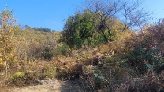 경상남도 함안군 가야읍 산서리 654 전 경매 사진 8