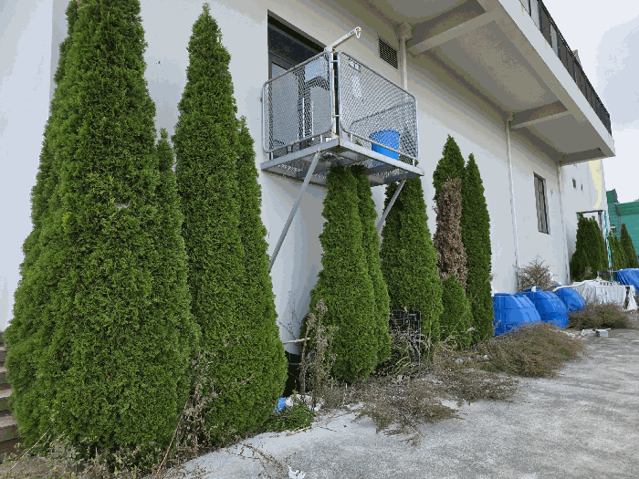 경상남도 남해군 삼동면 물건리 233-1 근린시설 경매 사진 79