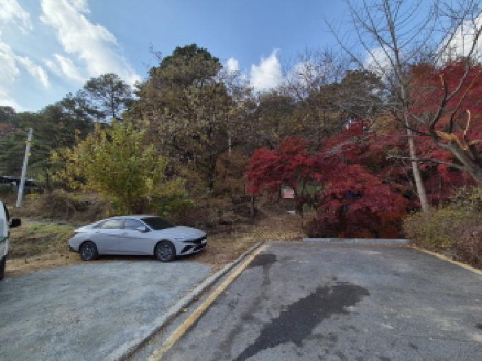 대전광역시 유성구 덕명동 187 외 1필지 과수원 경매 사진 11