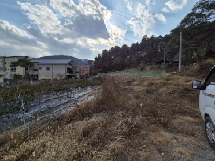 대전광역시 유성구 덕명동 187 외 1필지 과수원 경매 사진 13