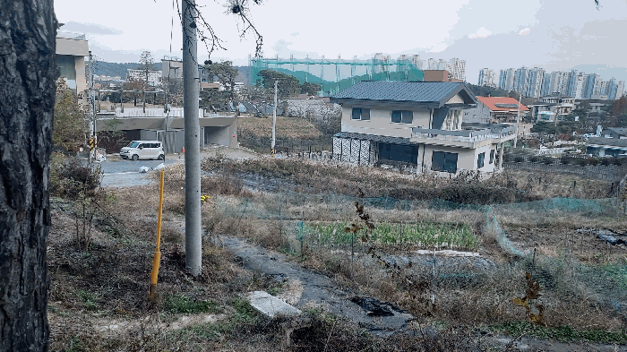 대전광역시 유성구 덕명동 187 외 1필지 과수원 경매 사진 20