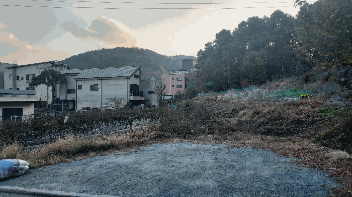 대전광역시 유성구 덕명동 187 외 1필지 과수원 경매 사진 23