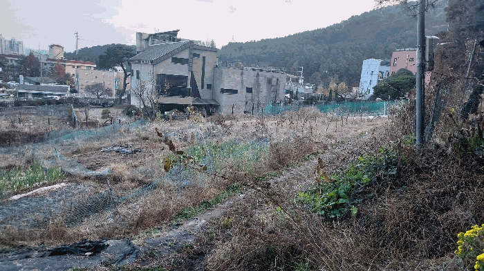 대전광역시 유성구 덕명동 187 외 1필지 과수원 경매 사진 24