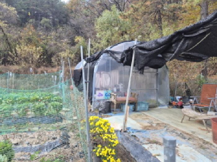 대전광역시 유성구 덕명동 187 외 1필지 과수원 경매 사진 9
