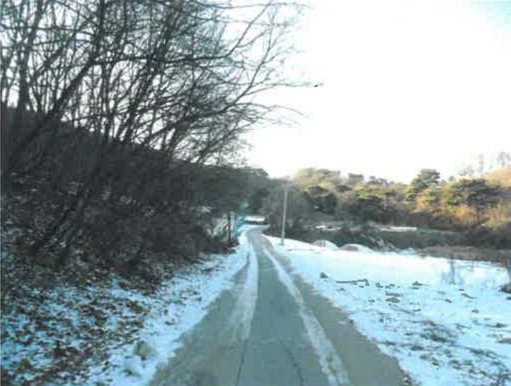 충청북도 충주시 신니면 광월리 534 답 경매 사진 48