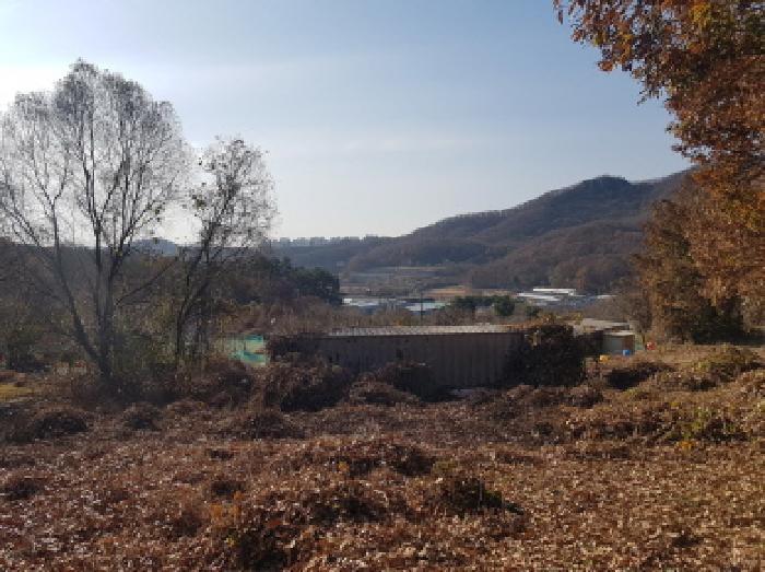 충청남도 천안시 동남구 목천읍 교천리 42 답 경매 사진 26