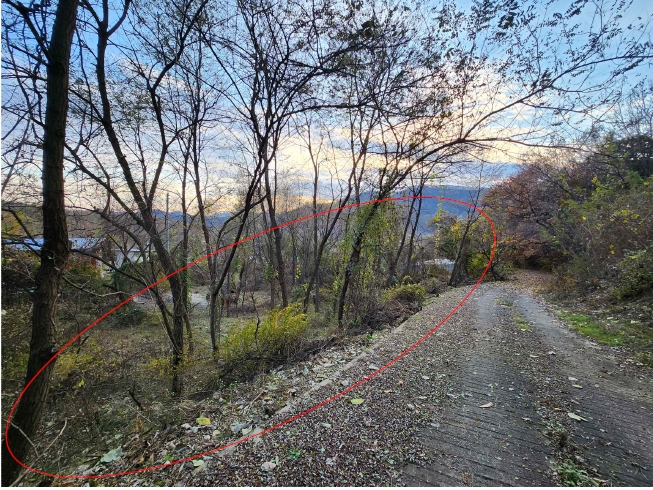 충청남도 천안시 동남구 목천읍 교천리 42 답 경매 사진 15