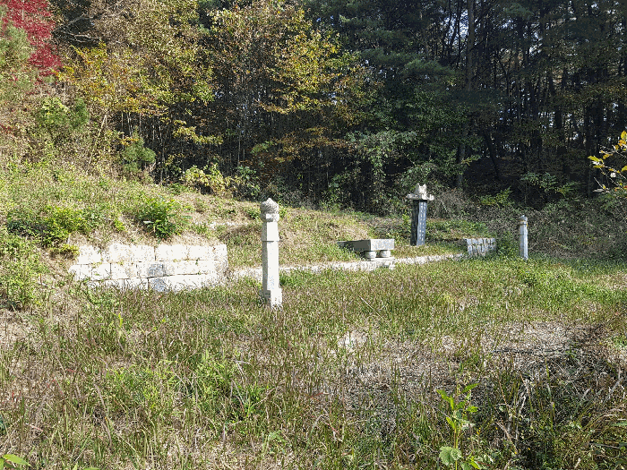 경상남도 진주시 수곡면 대천리 산1 임야 경매 사진 80