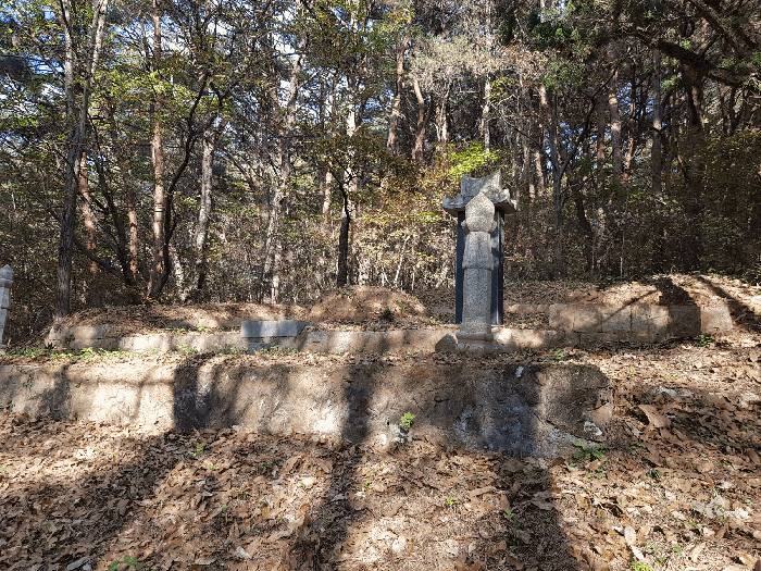 경상남도 진주시 수곡면 대천리 산1 임야 경매 사진 81