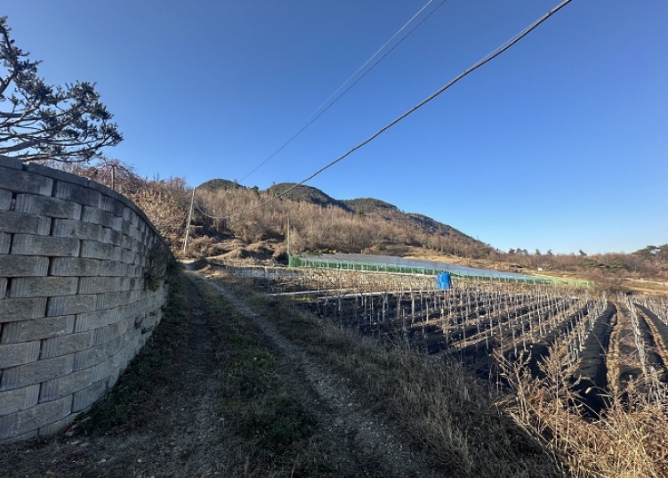 충청북도 청주시 상당구 미원면 어암리 300-2 전 경매 사진 7