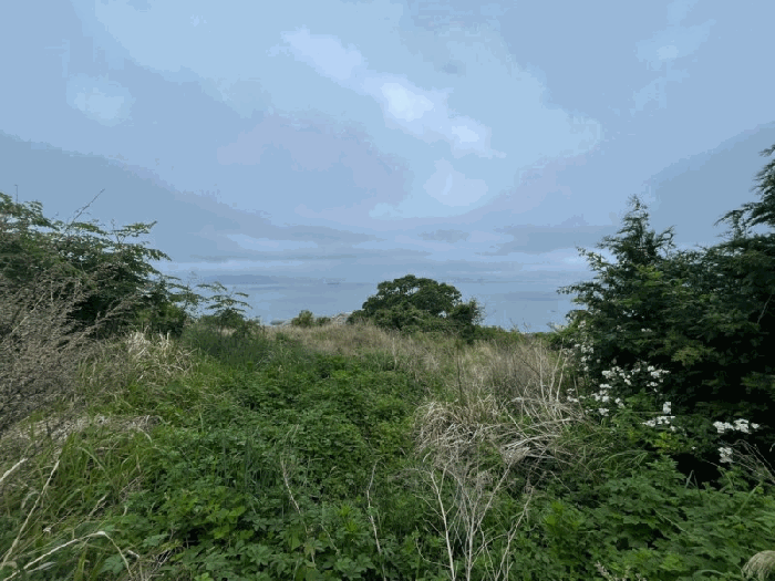 경상남도 거제시 사등면 창호리 522 외 2필지 전 경매 사진 12